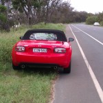 AU-mazlik-back